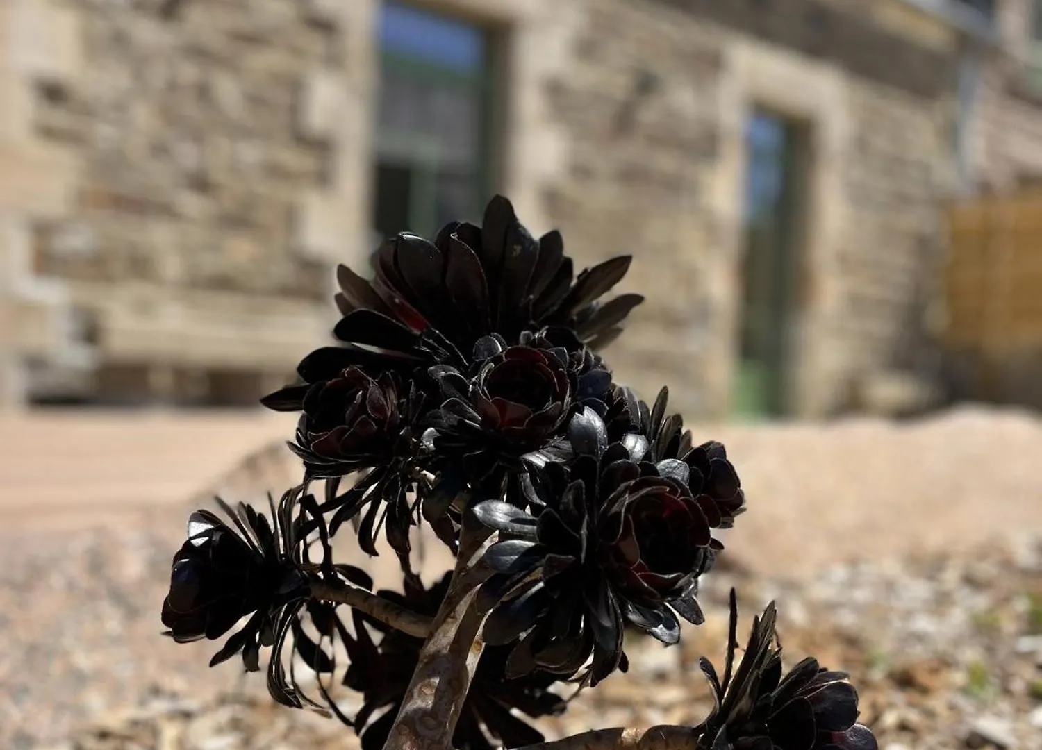 Ti Guer - Superbe Maison En Pierre Ploumanach Perros-Guirec